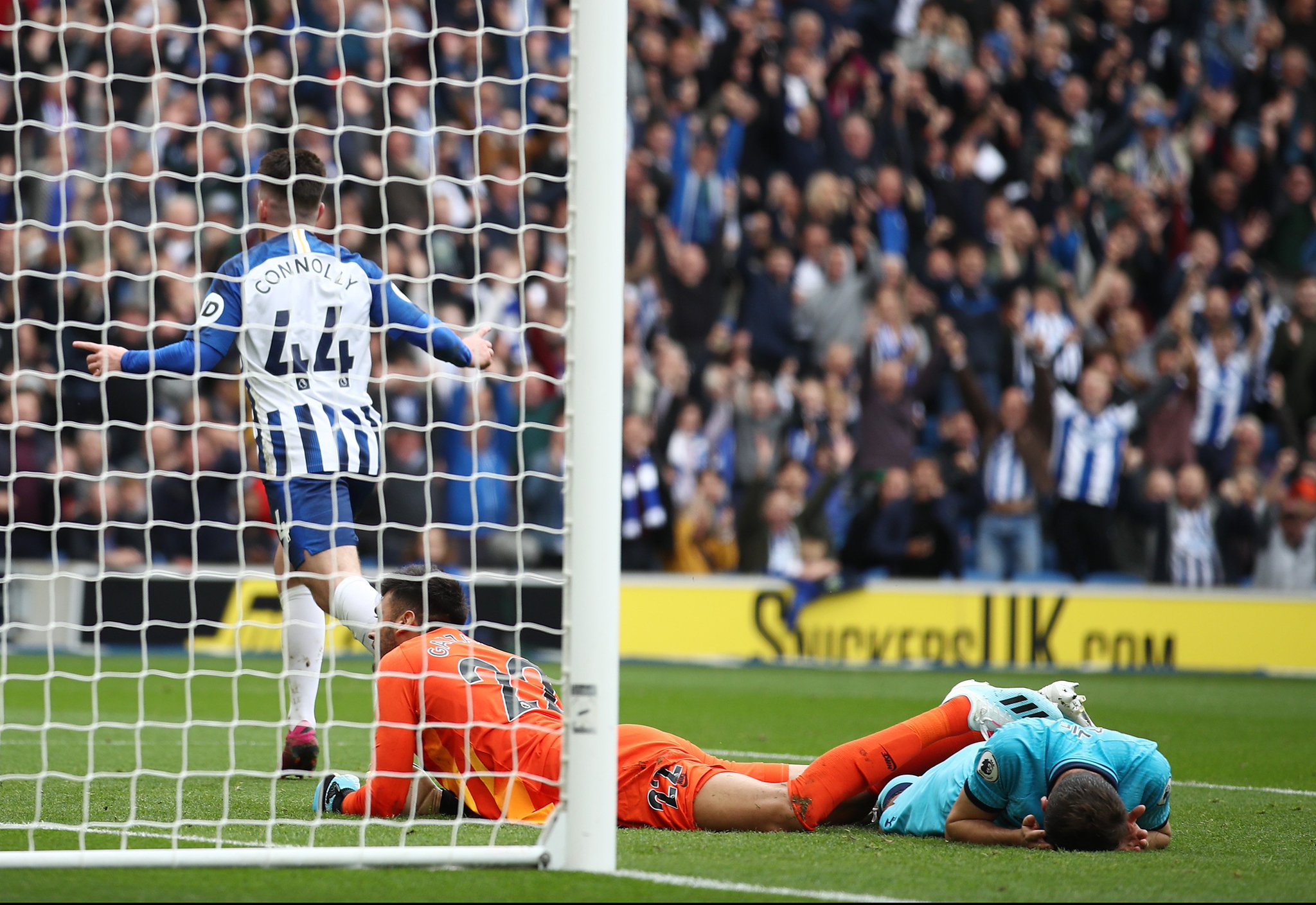 心罗慕洛的 心罗慕洛的